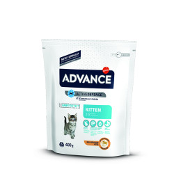 ADVANCE KITTEN