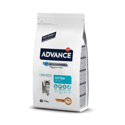 ADVANCE KITTEN