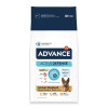 ADVANCE GERMAN SHEPHERD