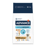 ADVANCE LABRADOR RETRIEVER