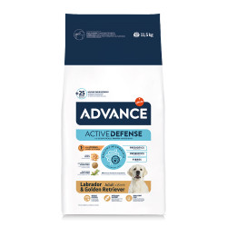 ADVANCE LABRADOR RETRIEVER