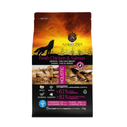 NATURAL TRAINER AMBROSIA GRAIN FREE PUPPY LARGE CHICKEN & SALMON