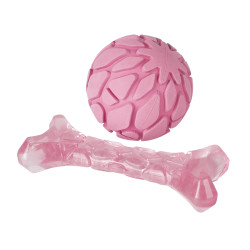 FO Παιχνίδι Σκύλου Milk Bone & Ball
