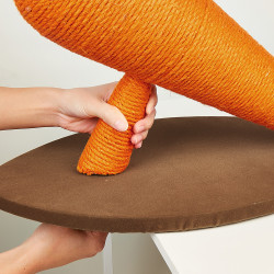FO Ονυχοδρόμιο Carrot