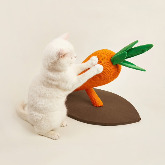FO Ονυχοδρόμιο Carrot