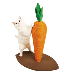 FO Ονυχοδρόμιο Carrot