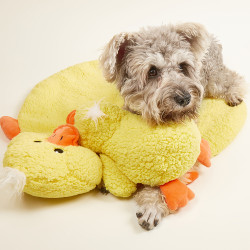 FO Παιχνίδι Σκύλου (εγγραφής) Cuddle Duck
