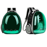 Glee  Τσάντα μεταφοράς  Green