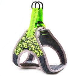 Glee Σαμαράκι Ιμάντα τύπου Saddle Green