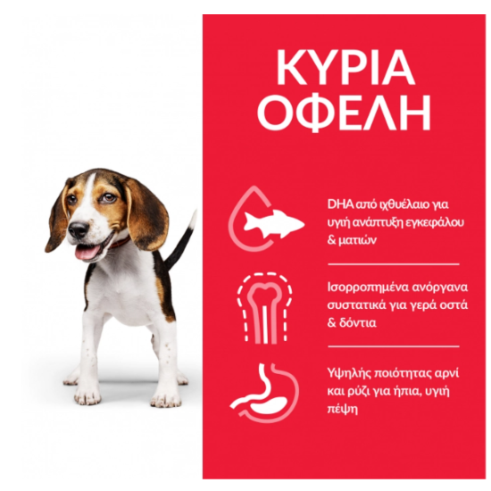 HILL'S SCIENCE PLAN PUPPY LARGE BREED CHICKEN