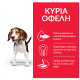HILL'S SCIENCE PLAN PUPPY LARGE BREED CHICKEN