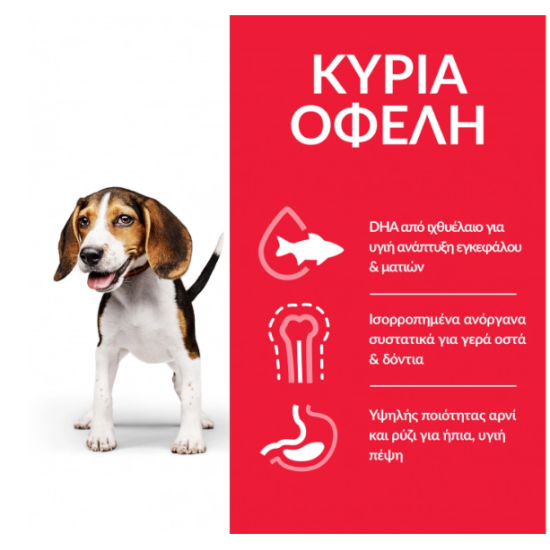 HILL'S SCIENCE PLAN PUPPY MEDIUM CHICKEN HILL'S SCIENCE PLAN PUPPY MEDIUM CHICKEN