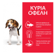 HILL'S SCIENCE PLAN PUPPY MEDIUM CHICKEN HILL'S SCIENCE PLAN PUPPY MEDIUM CHICKEN