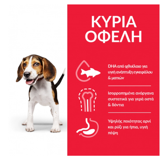 HILL'S SCIENCE PLAN PUPPY MEDIUM LAMB & RICE HILL'S SCIENCE PLAN PUPPY MEDIUM LAMB & RICE