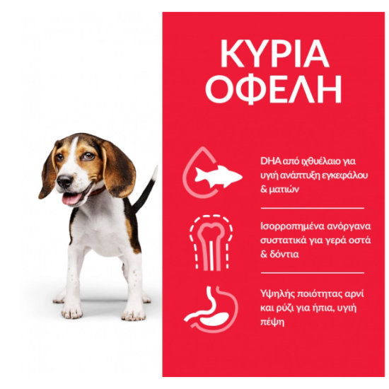HILL'S SCIENCE PLAN PUPPY MEDIUM LAMB & RICE HILL'S SCIENCE PLAN PUPPY MEDIUM LAMB & RICE
