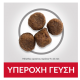 HILL'S SCIENCE PLAN PUPPY MEDIUM LAMB & RICE HILL'S SCIENCE PLAN PUPPY MEDIUM LAMB & RICE