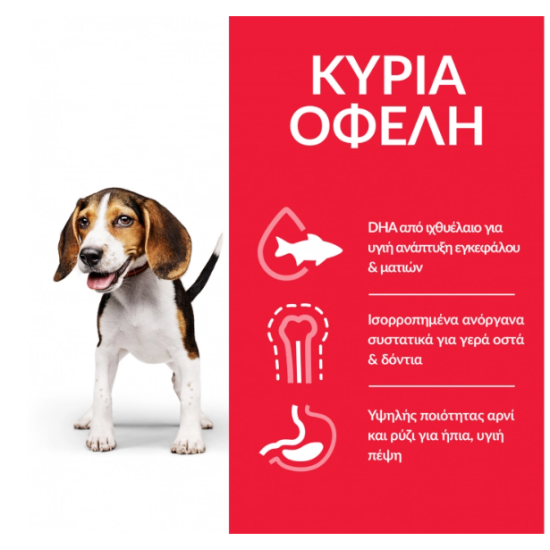 HILL'S SCIENCE PLAN PUPPY LARGE BREED CHICKEN