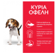 HILL'S SCIENCE PLAN PUPPY LARGE BREED CHICKEN