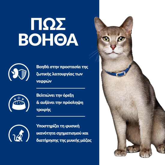 HILL'S PRESCRIPTION DIET FELINE K/D HILL'S PRESCRIPTION DIET FELINE K/D