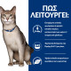 HILL'S PRESCRIPTION DIET FELINE K/D HILL'S PRESCRIPTION DIET FELINE K/D