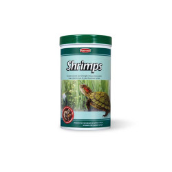 PADOVAN SHRIMPS 
