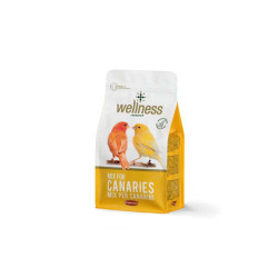 PADOVAN WELLNESS CANARINIES 