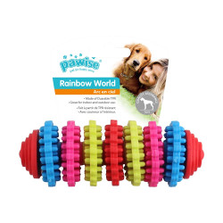 PW Παιχνίδι Σκύλου Rainbow World Gear