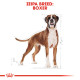 ROYAL CANIN BOXER ROYAL CANIN BOXER