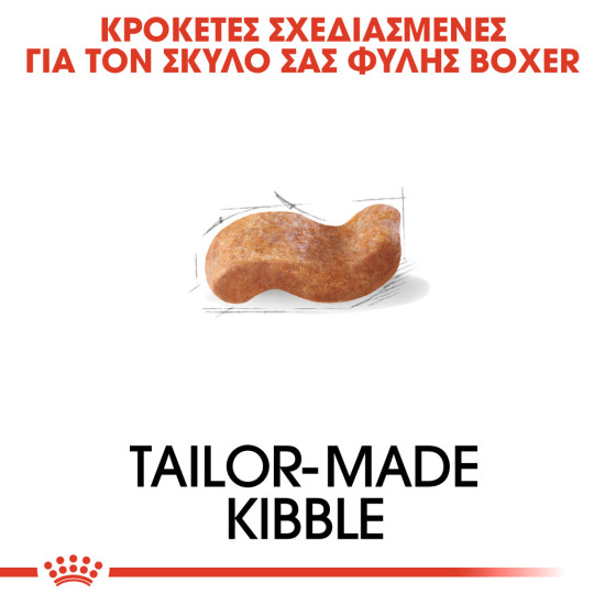 ROYAL CANIN BOXER ROYAL CANIN BOXER