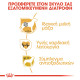 ROYAL CANIN BOXER ROYAL CANIN BOXER