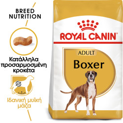 ROYAL CANIN BOXER