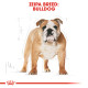 ROYAL CANIN BULLDOG