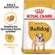 ROYAL CANIN BULLDOG