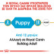 ROYAL CANIN BULLDOG PUPPY ROYAL CANIN BULLDOG PUPPY
