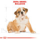 ROYAL CANIN BULLDOG PUPPY ROYAL CANIN BULLDOG PUPPY