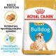 ROYAL CANIN BULLDOG PUPPY ROYAL CANIN BULLDOG PUPPY
