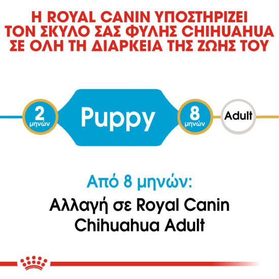 ROYAL CANIN CHIHUAHUA PUPPY ROYAL CANIN CHIHUAHUA PUPPY