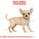 ROYAL CANIN CHIHUAHUA PUPPY ROYAL CANIN CHIHUAHUA PUPPY
