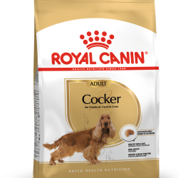 ROYAL CANIN COCKER