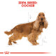 ROYAL CANIN COCKER ROYAL CANIN COCKER