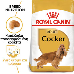 ROYAL CANIN COCKER