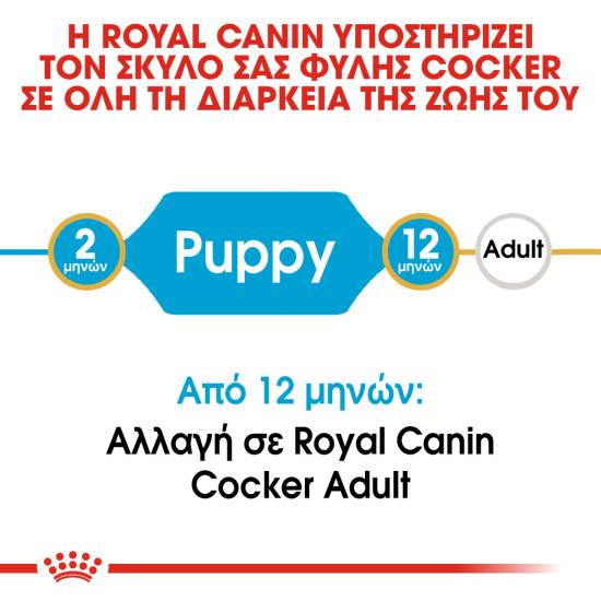 ROYAL CANIN COCKER PUPPY ROYAL CANIN COCKER PUPPY