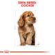 ROYAL CANIN COCKER PUPPY ROYAL CANIN COCKER PUPPY
