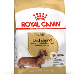 ROYAL CANIN DACHSHUND