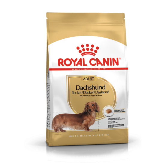 ROYAL CANIN DACHSHUND ROYAL CANIN DACHSHUND