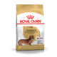 ROYAL CANIN DACHSHUND ROYAL CANIN DACHSHUND