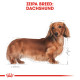 ROYAL CANIN DACHSHUND ROYAL CANIN DACHSHUND
