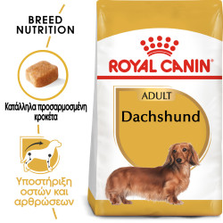 ROYAL CANIN DACHSHUND