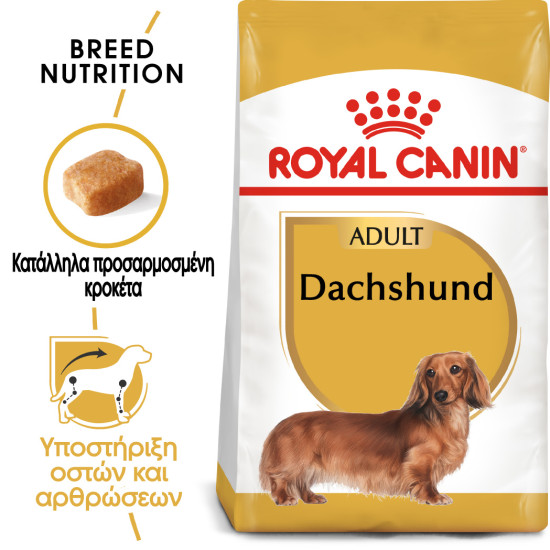ROYAL CANIN DACHSHUND ROYAL CANIN DACHSHUND