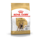 ROYAL CANIN FRENCH BULLDOG